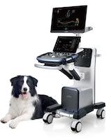 دستگاه سونوگرافی